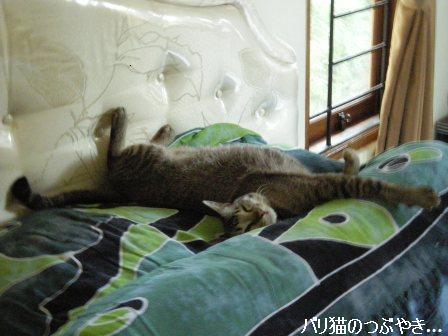 ブログ20110911-4.JPG