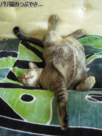 ブログ20110911-5.JPG