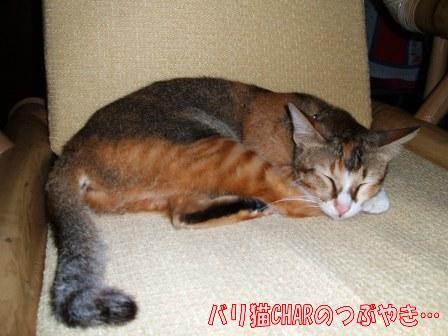 ブログ20100827-1.JPG