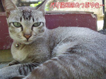 ブログ20100827-4.JPG